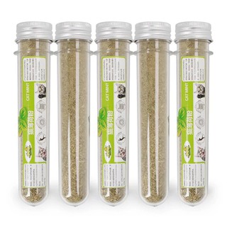 Cỏ bạc hà catnip cho mèo