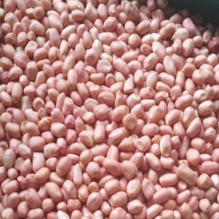 Đậu phộng nhân sống bịch 1kg