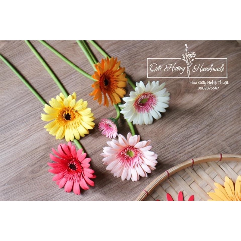 Khuôn cắt làm hoa lá đồng tiền size hoa 9-12 cm