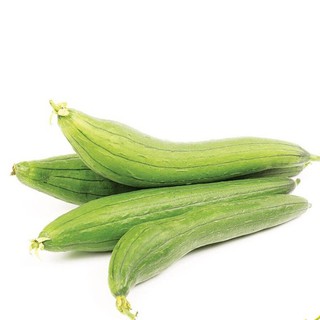 Hạt giống mướp hương Thái Lan