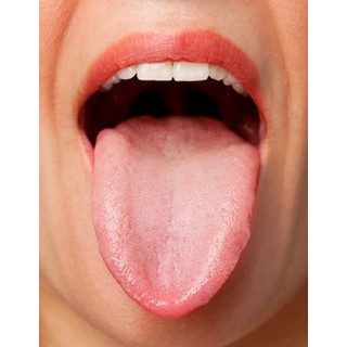 Dụng cụ cạo lưỡi HOFACO
