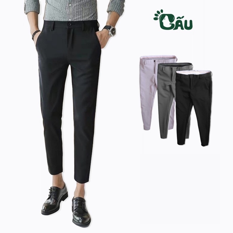 Quần tây âu nam Gấu 194 vải coton co dãn, mềm mịn - form regular sang chảnh - DÀI