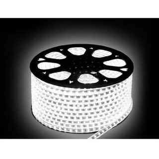 Đèn led dây 5050 cuộn 100m
