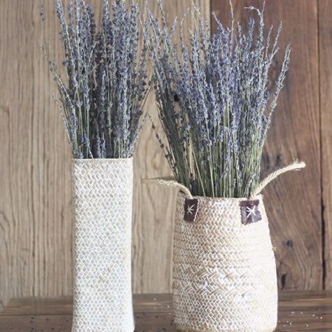 Hoa Lavender Khô RẤT THƠM và NHIỀU NỤ