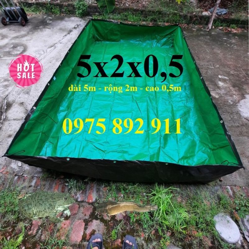 Bể bạt nuôi ốc ếch cá lươn trạch - xanh bộ đội hàn quốc