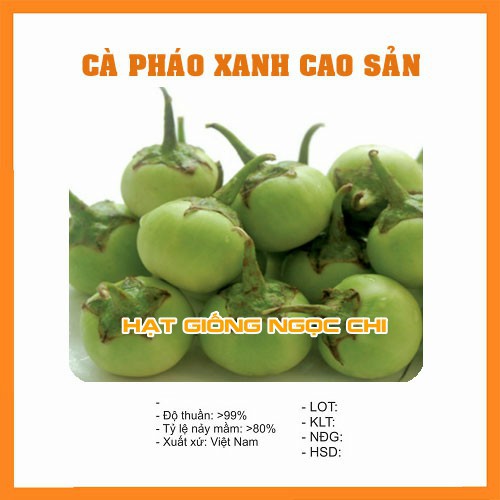 Hạt Giống Cà Pháo Xanh Cao Sản - 1Gr