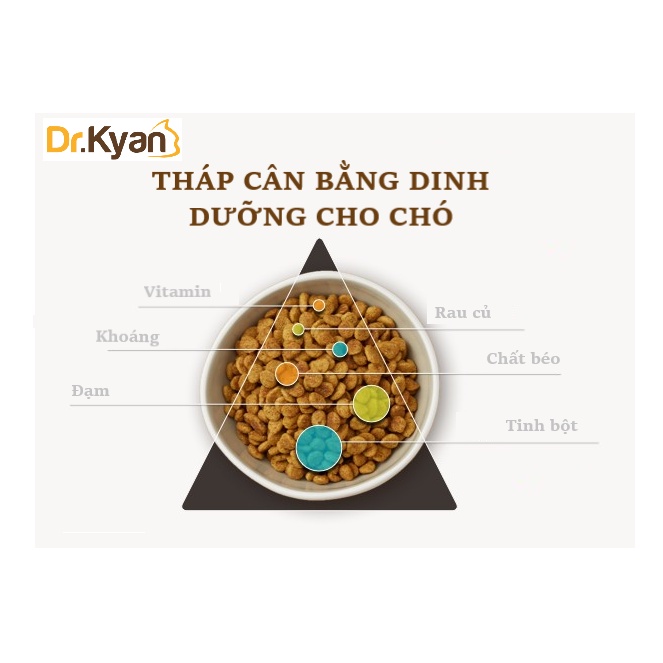 Sữa Cho Chó Precaten Dr.Kyan - Sữa Bột Cao Cấp Cho Chó Con, Chó Thiếu Dinh Dưỡng