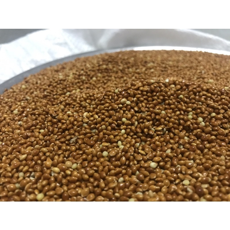 HẠT KÊ ĐỎ BÓNG  GÓI 1KG -THỨC ĂN DINH DƯỠNG CHO CÁC LOẠI CHIM CẢNH YẾN PHỤNG ,CU GÁY,MANH MANH,BỒ CÂU…
