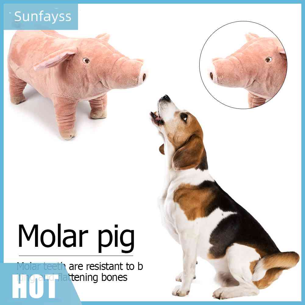 Thú Nhồi Bông Hình Heo Con Chống Cắn Dễ Thương Cho Thú Cưng