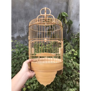 LỒNG KHUYÊN BO VIỀN PHÁ CÁCH SIÊU ĐẸP