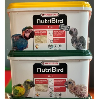 Bột nutri a21 - a19 cho vẹt non