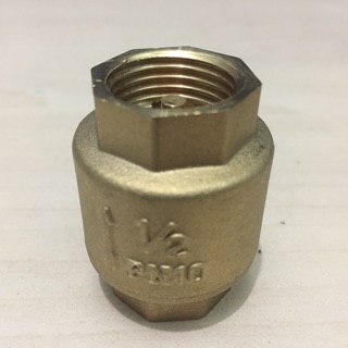Van 1 chiều đồng lá lật, lò xo phi 21, 27, 34