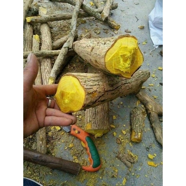 0.5Kg Cây mật gấu khô sapa thái lát đẹp thơm chất lượng