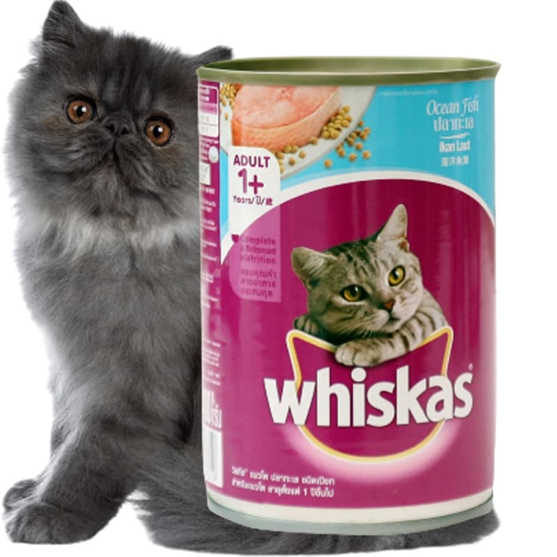 Combo 4 Pate Whiskas lon 400g - Thức ăn cho mèo giá sỉ