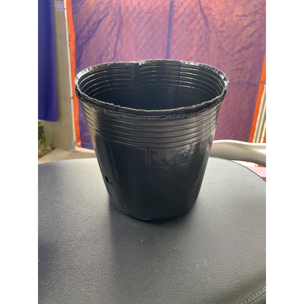 BẦU ƯƠM CÂY 18*16 ( DỊCH TRUYỀN CHO CÂY, KÍCH RỄ , MẦM CÂY XANH LÁ, LƯỚI CHE NẮNG...)