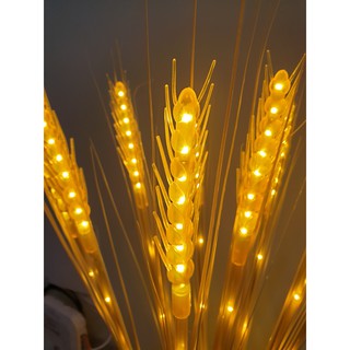 ⚡ 10 Bông Lúa⚡ Led Bông Lúa