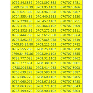 Sim số đẹp Mobifone 10 số đầu 09 đồng giá 700k
