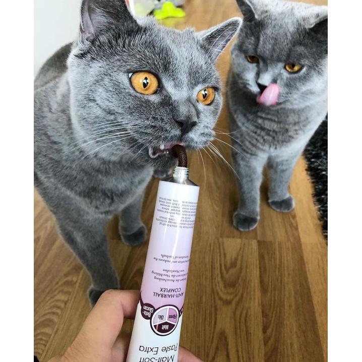 Gel Dinh Dưỡng GimCat Cho Mèo Tổng Hợp - CHỌN LOẠI