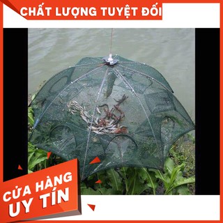 [Siêu Rẻ] Lưới bát quái chuyên đánh bắt cá [DBDSHOP]