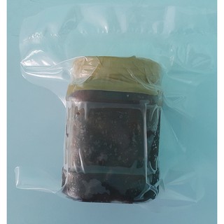 Mắm cá sặc không xương (Mắm chua)