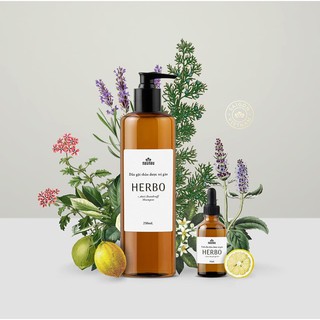 DẦU GỘI THẢO DƯỢC TRỊ GÀU