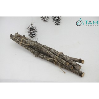 Bó 5 cành cây củi khô tự nhiên 40cm trang trí Vintage số 01