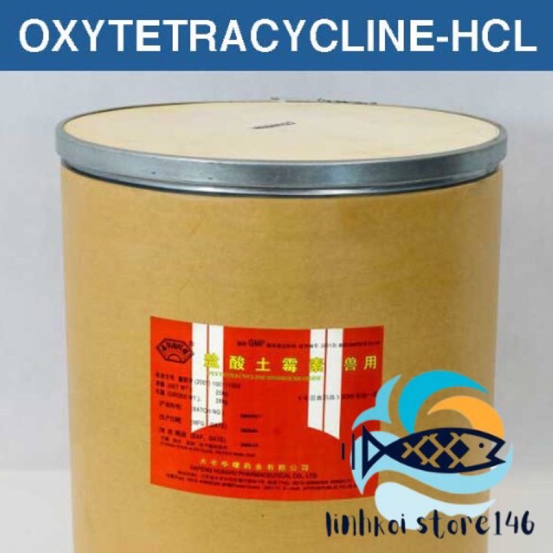 Oxytetracycline 100gr Lở loét,xuất huyết trên thân,nhiễm trùng dành cho cá chép Koi,cá vàng guppy-Tri chua lo loet