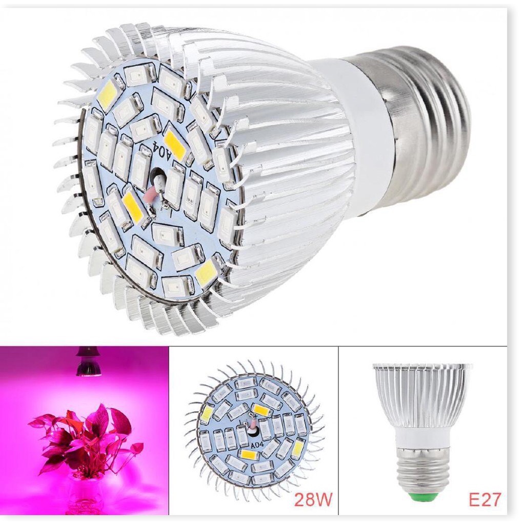 Đèn LED 28W - 30W hỗ trợ quang hợp cho cây trồng trong nhà