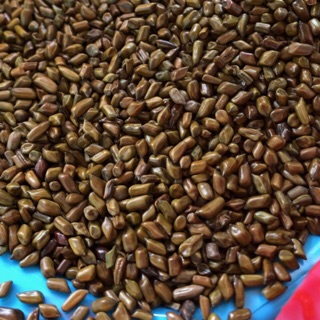 Com bo hạt muồng 250 000