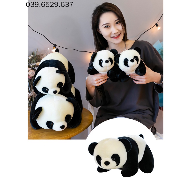 Gấu bông teddy bear gấu trúc Panda, gấu trúc nhồi bông nhập khẩu cao cấp, vải mịn size 30cm và 60cm