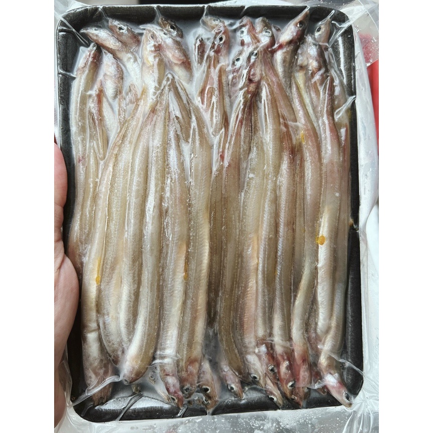 1Kg Cá Sụn Sịn không xương_ Dễ chế biến / 500g_giao nhanh