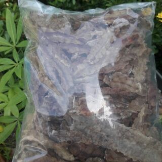 Tôm tích rời 1kg