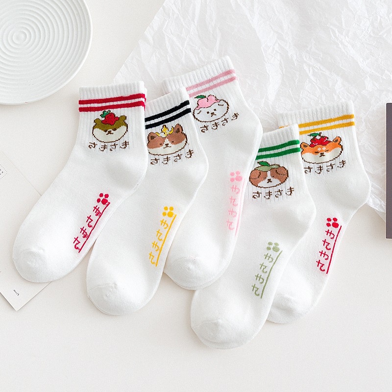 Combo 5 đôi vớ cổ cao ROBANA nhiều màu họa tiết dễ thương
