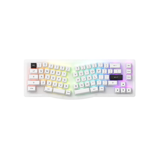 Bàn phím AKKO ACR Pro Alice Plus RGB / Hotswap / AKKO CS Crystal / Gasket Mount