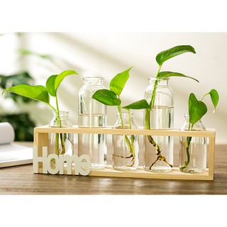 Kệ gỗ trang trí bàn làm việc và phòng khách gia đình Happy Home (tặng kèm 5 bình thủy tinh)