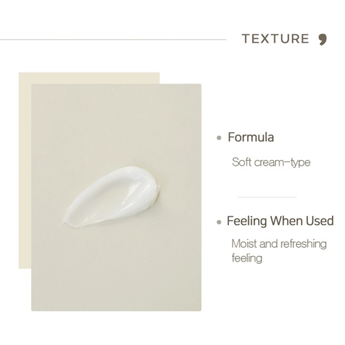 Nước cân bằng da & Kem dưỡng ẩm VIVID GLOSSY  Tea Tree Calming & Moisture Toner 210ml & Birch Tree Moisture Cream 80ml | BigBuy360 - bigbuy360.vn