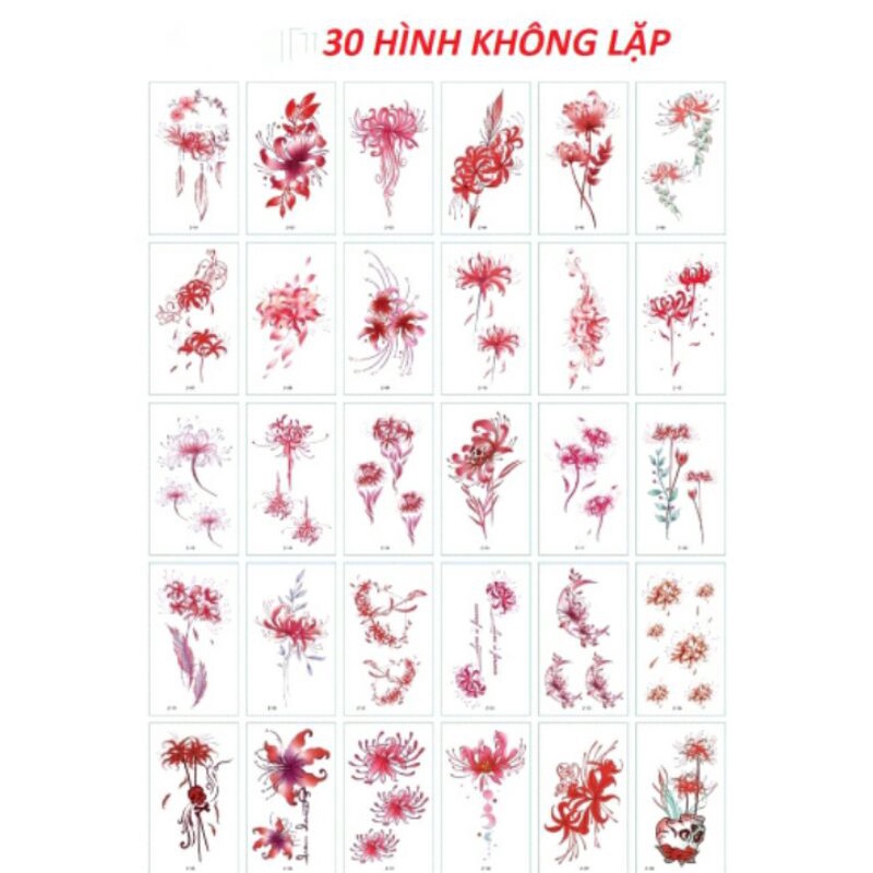 COMBO 30 TẤM HÌNH XĂM DÁN HOA BỈ NGẠN