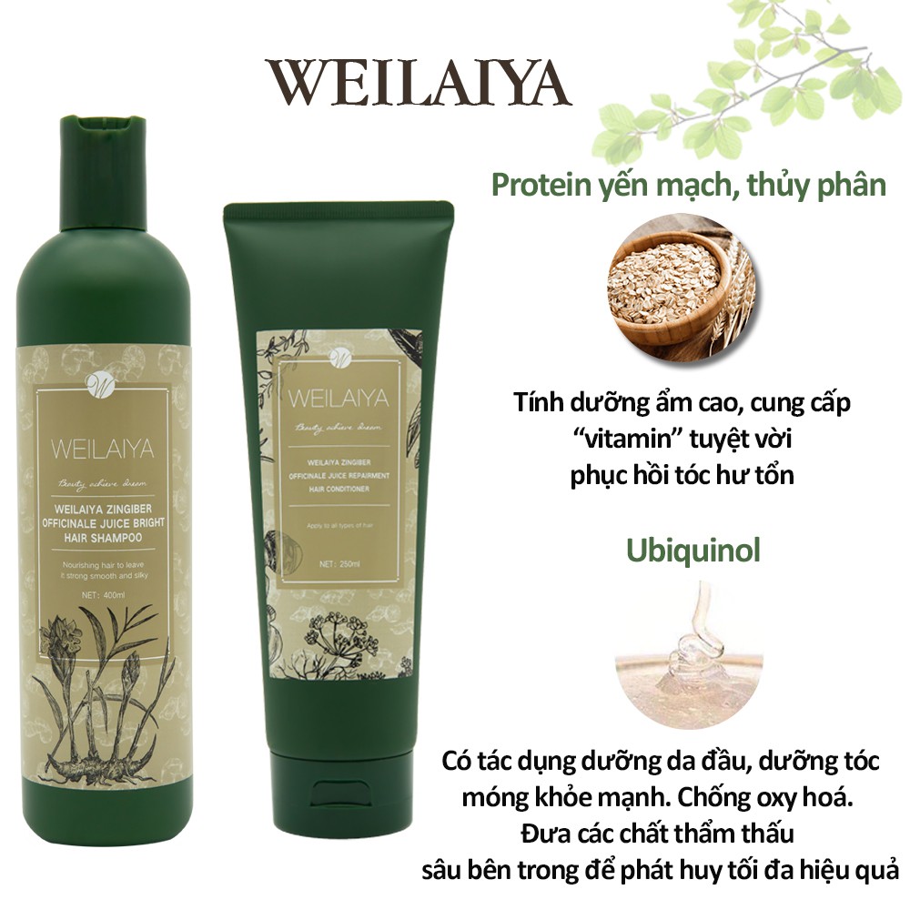 Bộ Dầu Gội Weilaiya Mọc Tóc Ngăn Rụng Tóc Tinh Chất Gừng Kết Hợp Hà Thủ Ô Cao Cấp- Sản Phẩm Chính Hãng | BigBuy360 - bigbuy360.vn