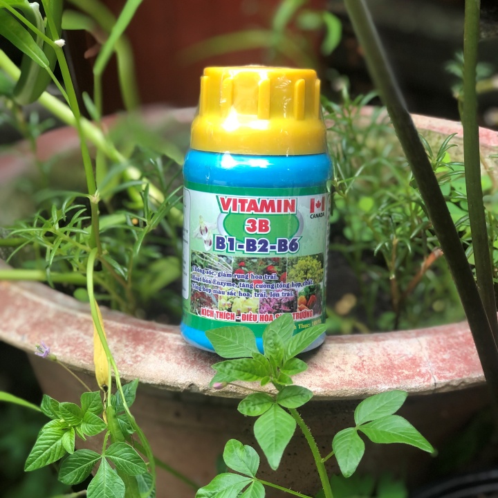 Vitamin 3B  Chống sốc, giải độc, điều hòa sinh trưởng cho Lan và cây cảnh 100ml