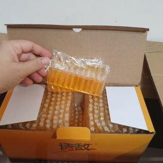 10 Ống thuốc dẫn dụ bẫy ruồi vàng