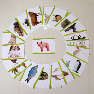 BÉ HỌC TỪ VỰNG THEO TRANH- kích thước chuẩn FLASH CARD