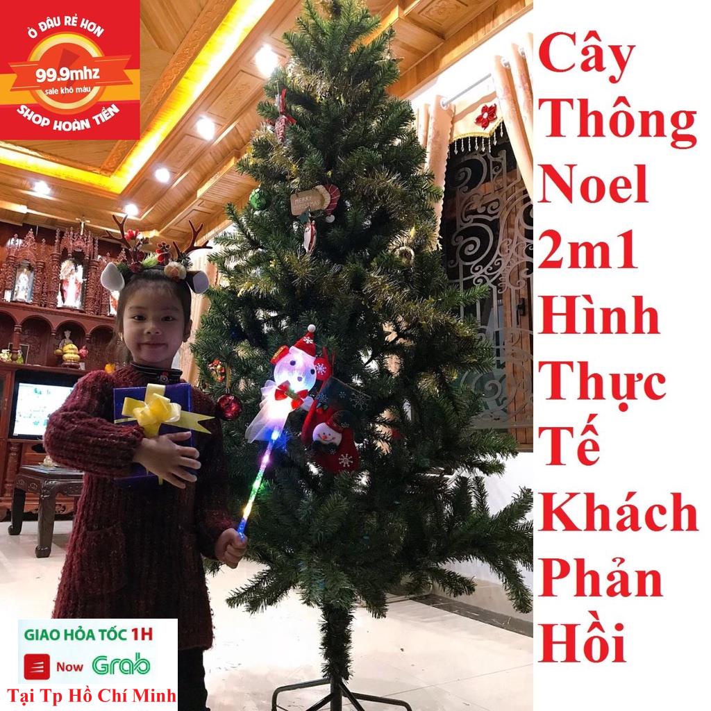 Cây Thông Noel 2m1 (210cm) Trang Trí Noel Giáng Sinh Chân Săt Quà Tặng Noel Kèm Theo 5 Dây Kim Tuyến Và 1 Ngôi Sao
