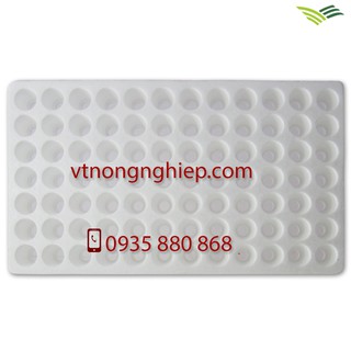 5 Khay xốp ươm hạt 84 lỗ