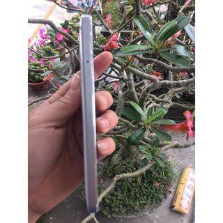 Điện thoại di động Xiaomi Mi4