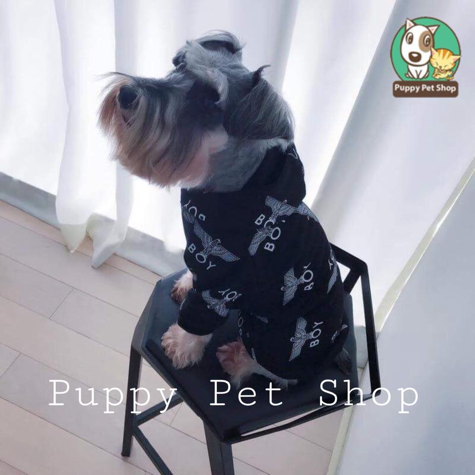 Áo hoodie Boy Đại Bàng cho thú cưng, chó mèo- Hàng loại 1