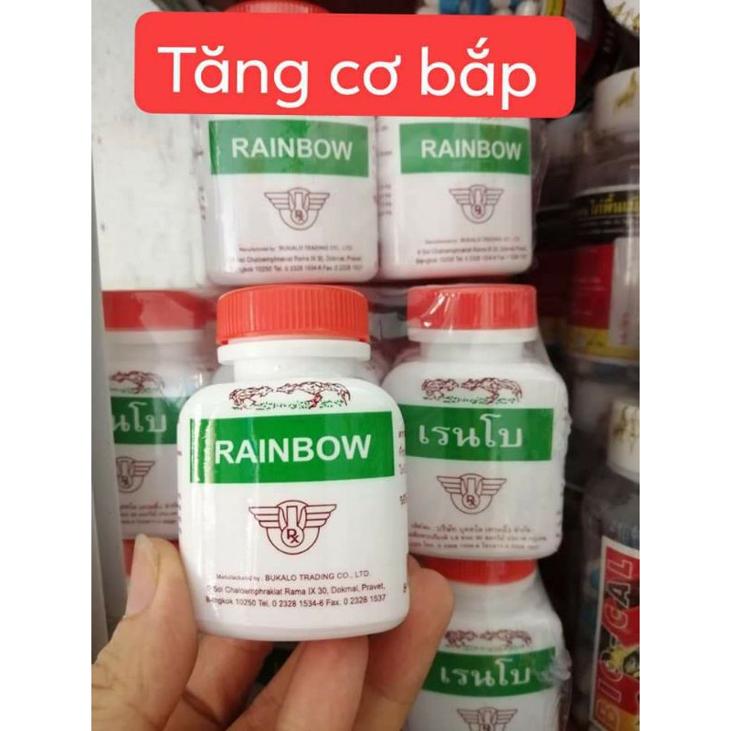 tăng cơ rainbow thái lan