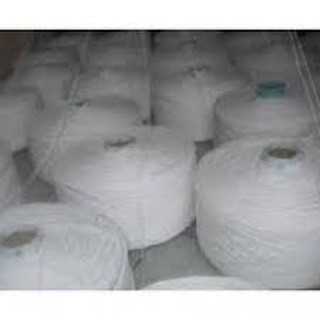 Dây chỉ cột tiền