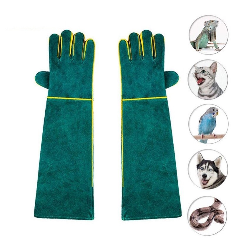 Găng tay bắt bò sát bằng da chống cắn Găng tay huấn luyện thú cưng