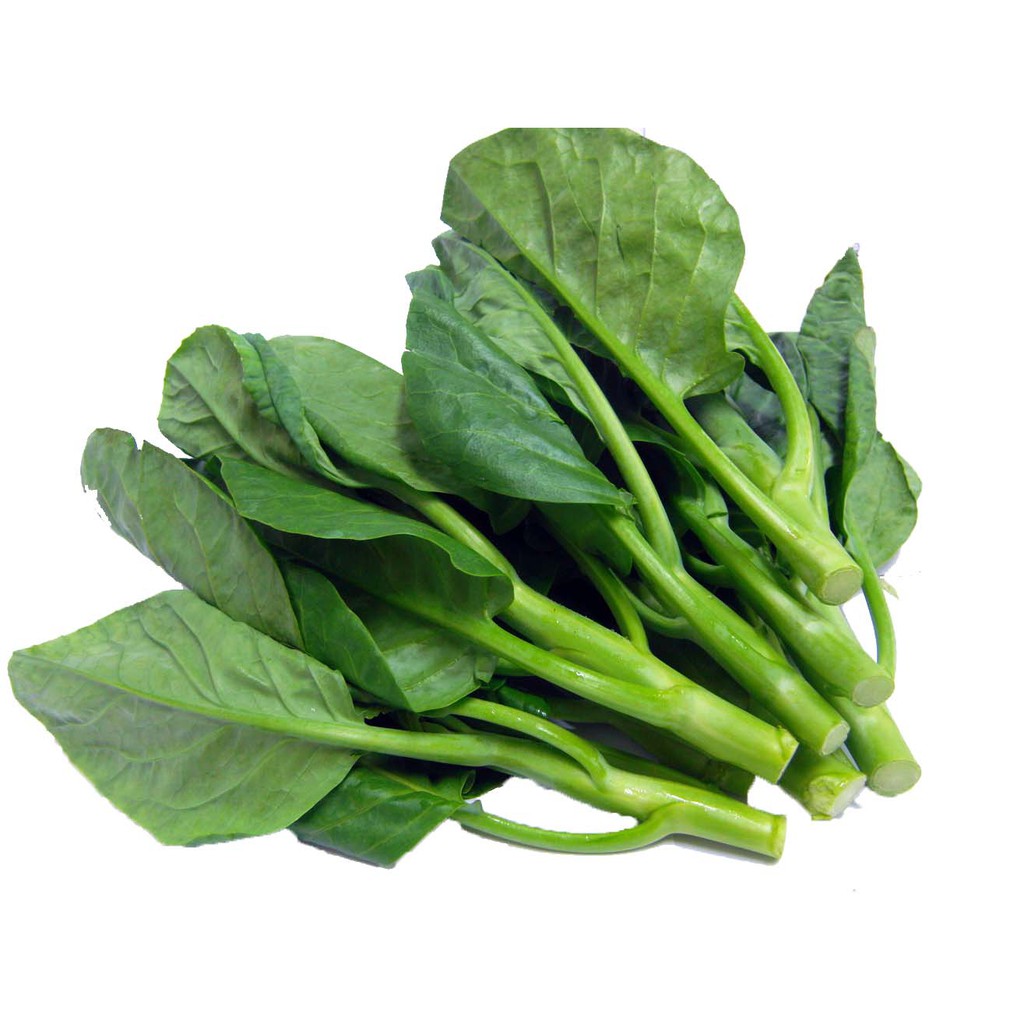 Hạt  Mồng Tơi Cao Sản Lá To, Dễ Trồng - Green Malabar Spinach