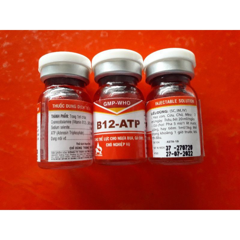 B12 ATP lọ 5ml. tăng lực gà đá